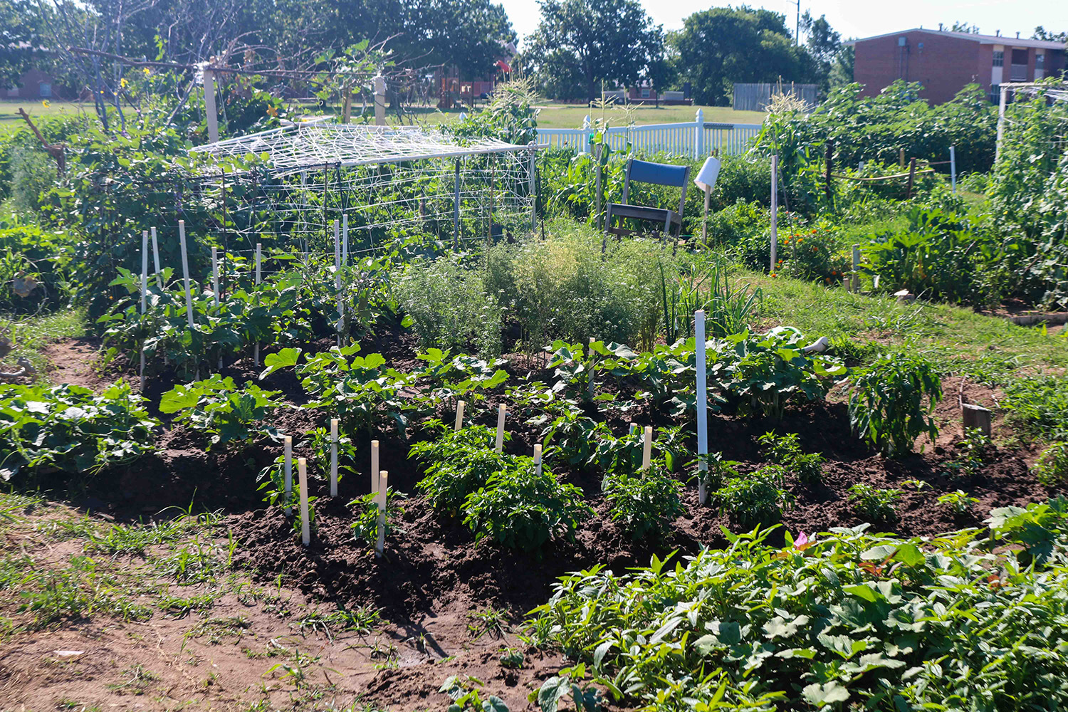 FGSH garden