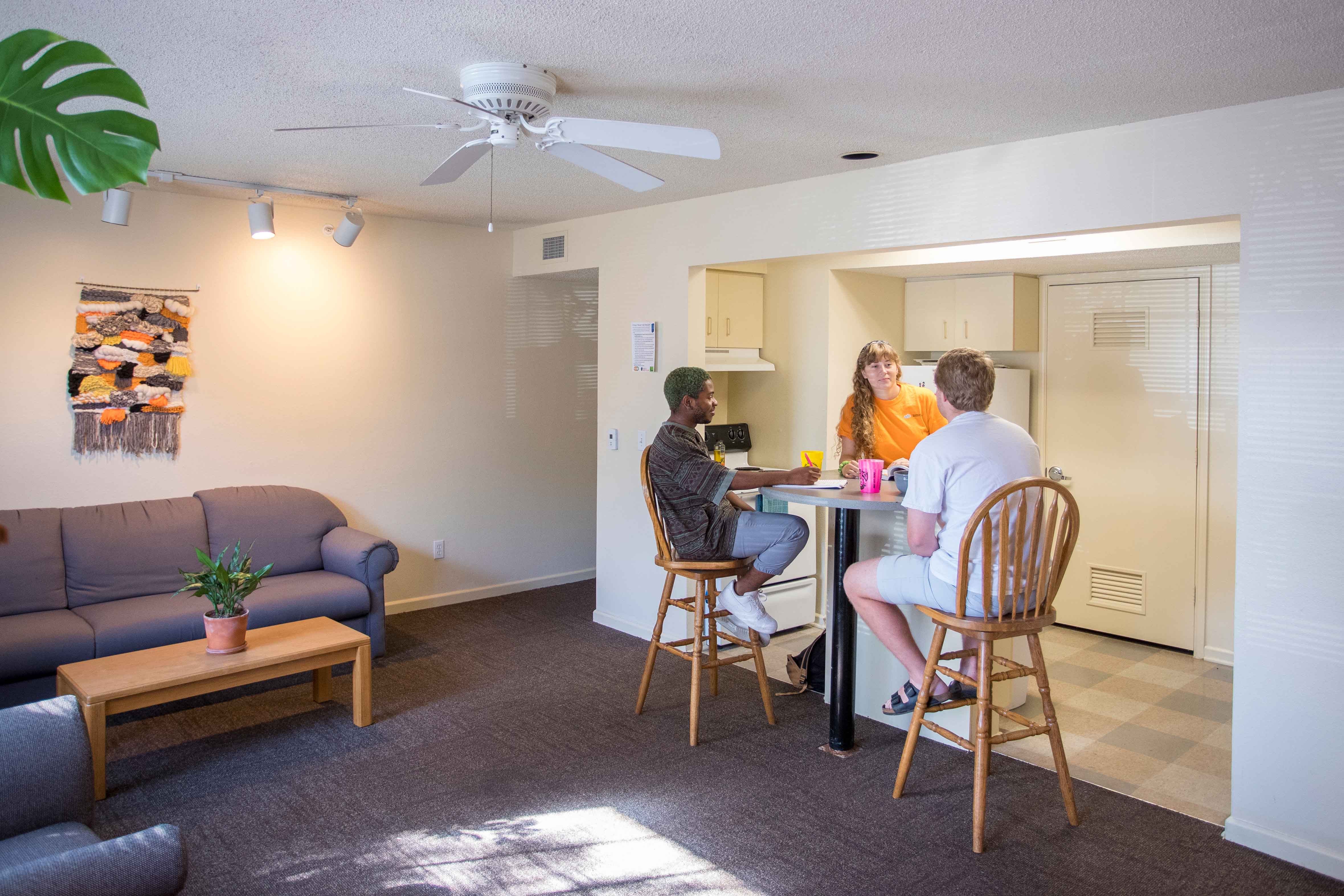 Kamm Hall Lounge
